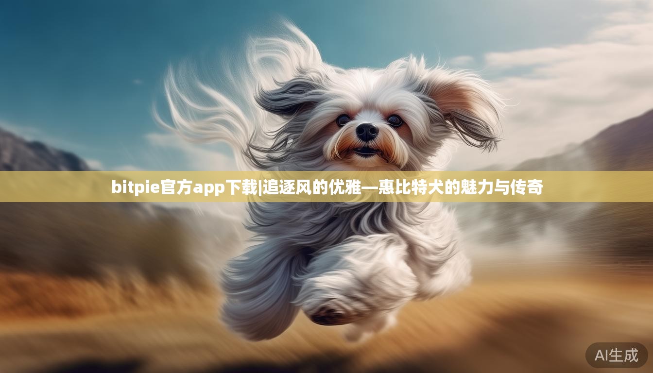 bitpie官方app下载|追逐风的优雅—惠比特犬的魅力与传奇